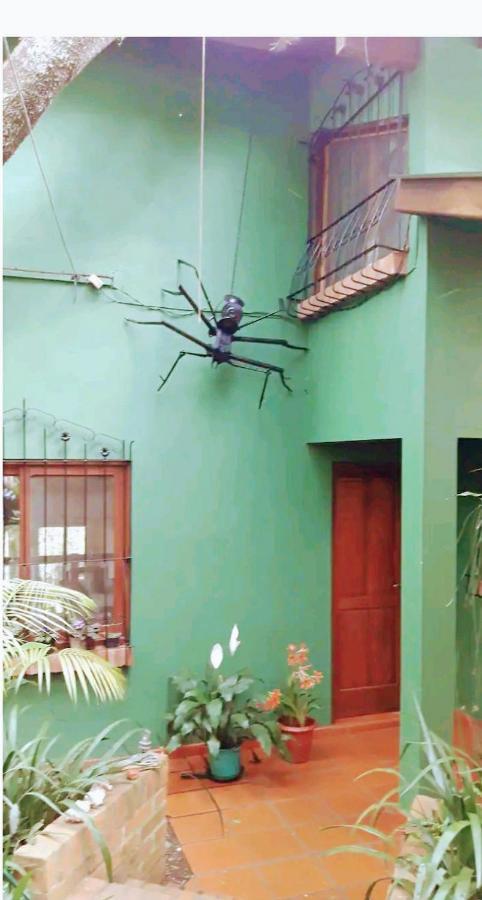 Jardin De Naipi 2 Apartment Puerto Iguazu Luaran gambar